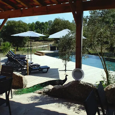 Quinta Castanheira *